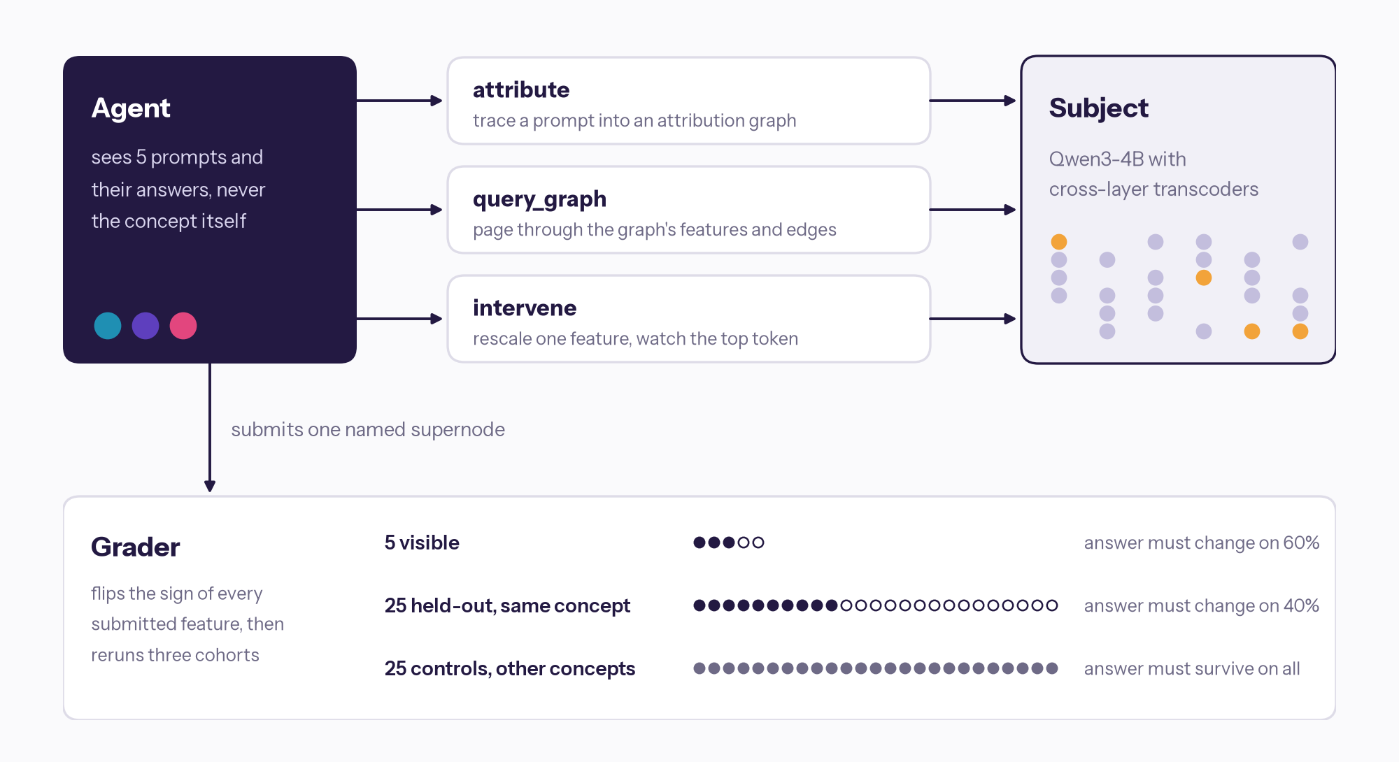 The agent uses three tools on Qwen3-4B, submits one supernode, and the grader reruns three sets of prompts